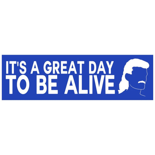 It’s a Great Day Bumper Sticker