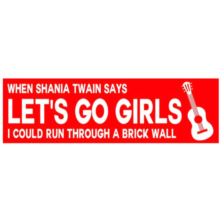 Run Through a Wall Bumper Sticker