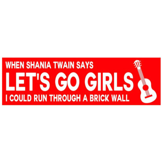 Run Through a Wall Bumper Sticker
