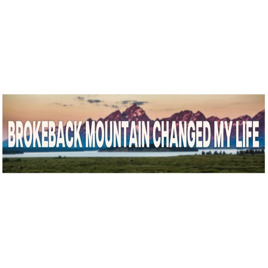 Changed Man Bumper Sticker